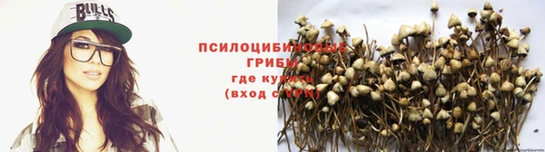 ALPHA PVP Алзамай