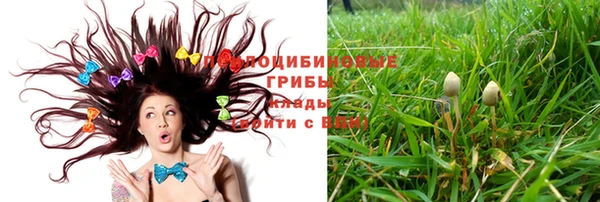 apvp Алексеевка