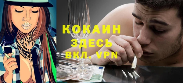 бошки Алексин