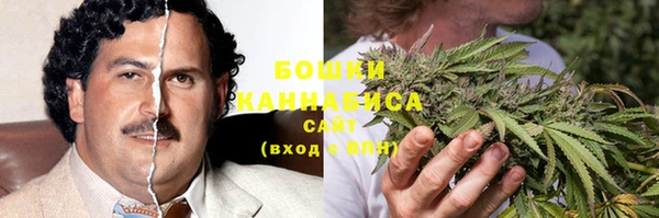 бошки Алексин