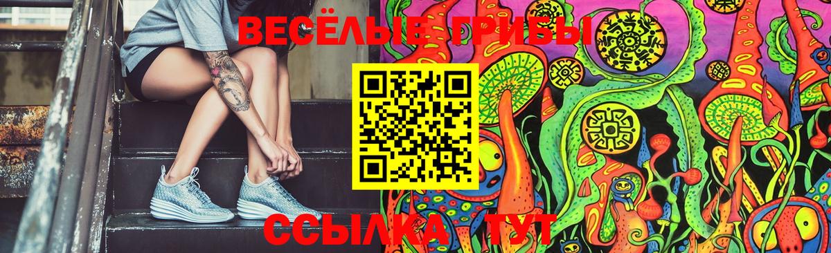 Псилоцибиновые грибы мицелий Северодвинск