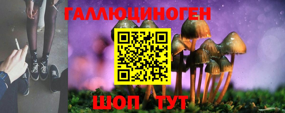 Галлюциногенные грибы прущие грибы  Галлюциногенные грибы прущие грибы  Северодвинск  Вход с VPN 